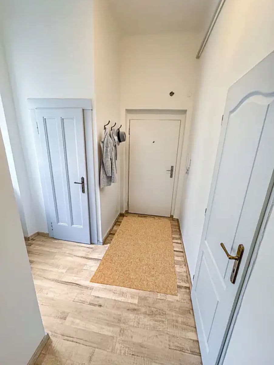 1 bedroom with open-plan kitchen flat to rent, 51 m², Na Rokytce, Prague, Prague 1 bedroom with open-plan kitchen flat to rent, 51 m², Na Rokytce, Prague, Prague