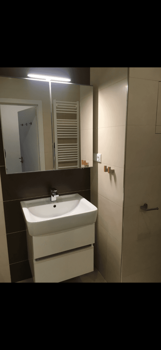 1 bedroom with open-plan kitchen flat to rent, 41 m², Geologická, Prague, Prague 1 bedroom with open-plan kitchen flat to rent, 41 m², Geologická, Prague, Prague