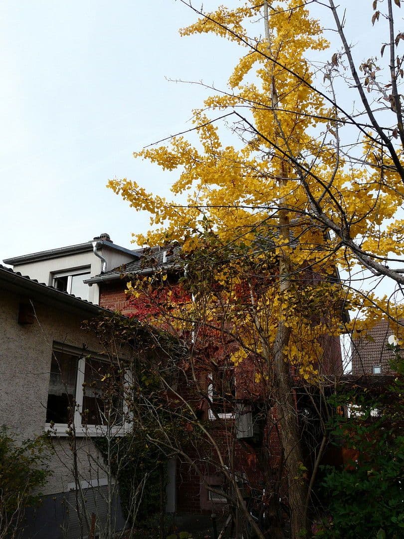 house for sale, 160 m², Weiterstädter Strasse 74, Darmstadt, Hesse house for sale, 160 m², Weiterstädter Strasse 74, Darmstadt, Hesse