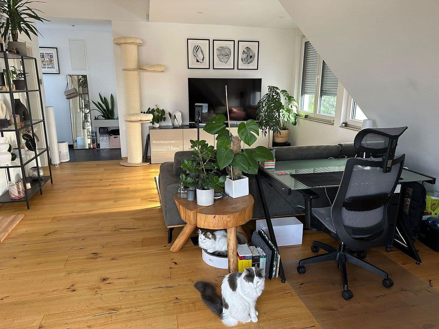 2 bedroom flat to rent, 63 m², Darmstadt, Hesse 2 bedroom flat to rent, 63 m², Darmstadt, Hesse