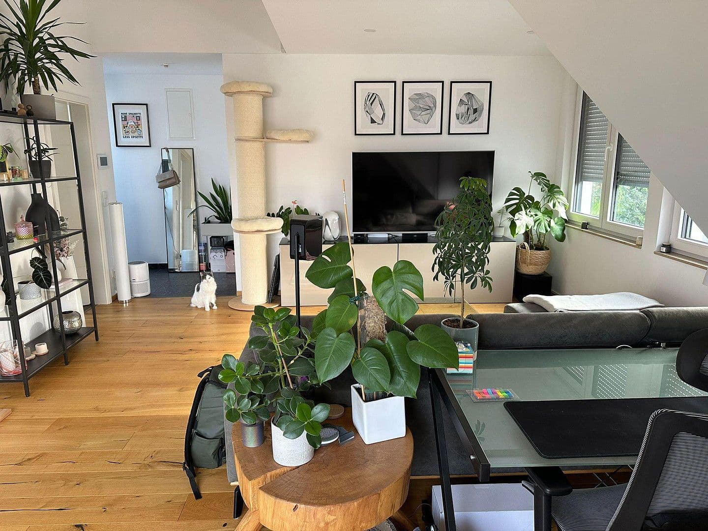 2 bedroom flat to rent, 63 m², Darmstadt, Hesse 2 bedroom flat to rent, 63 m², Darmstadt, Hesse