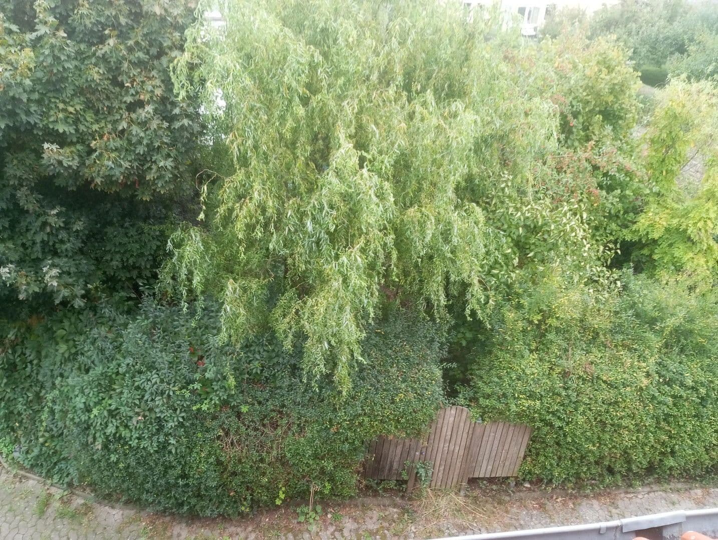 house for sale, 160 m², Göttingen, Lower Saxony house for sale, 160 m², Göttingen, Lower Saxony