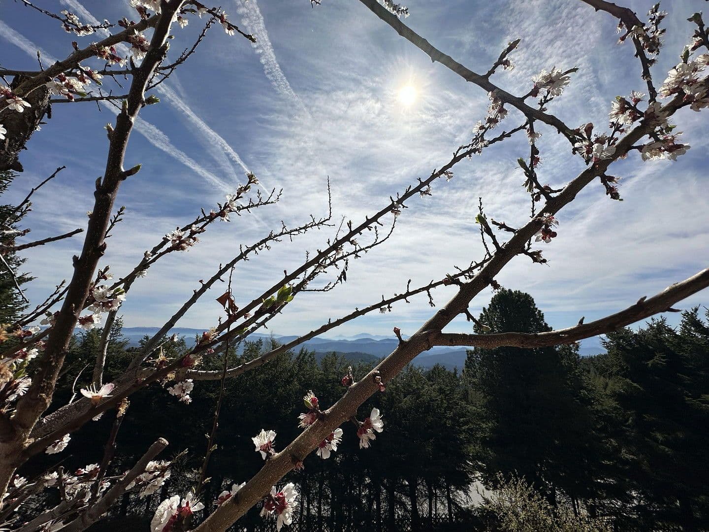 house for sale, 160 m², Teichweg 3, Hochrindl, Carinthia house for sale, 160 m², Teichweg 3, Hochrindl, Carinthia