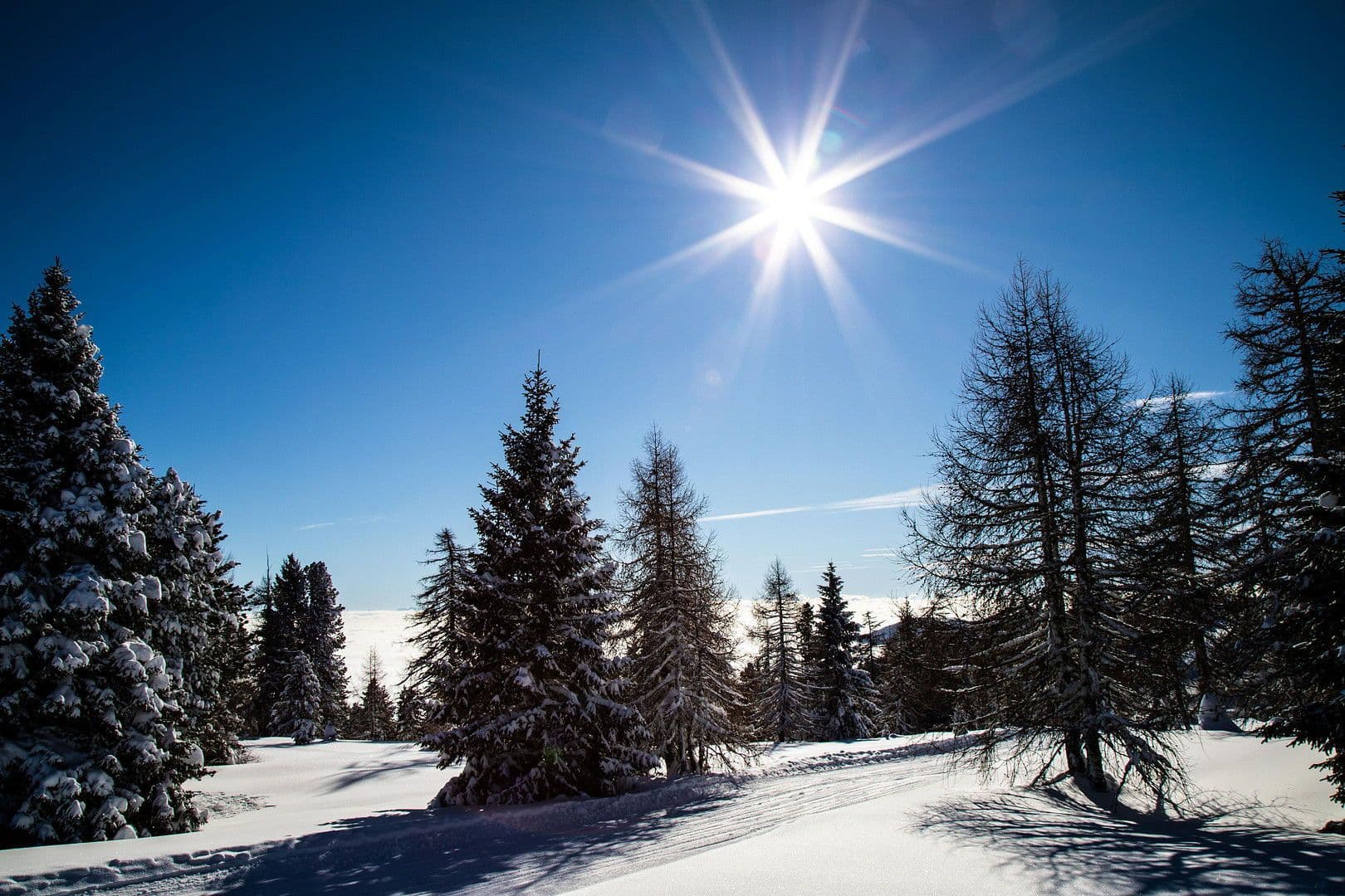 house for sale, 160 m², Teichweg 3, Hochrindl, Carinthia house for sale, 160 m², Teichweg 3, Hochrindl, Carinthia