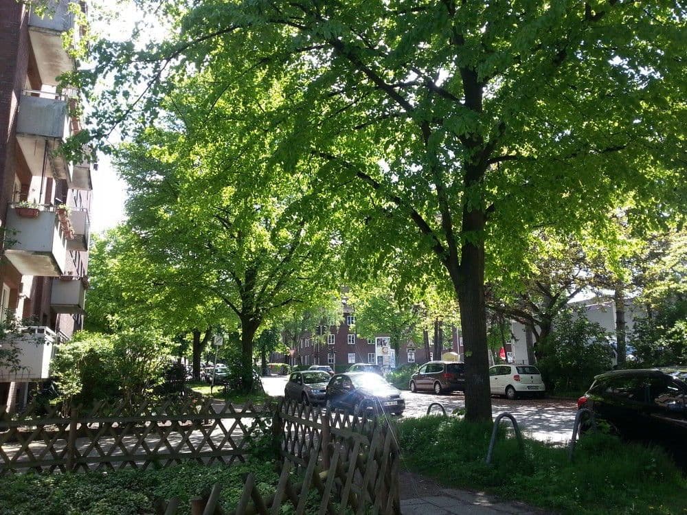 2 bedroom flat to rent, 60 m², Hamburg, Hamburg 2 bedroom flat to rent, 60 m², Hamburg, Hamburg