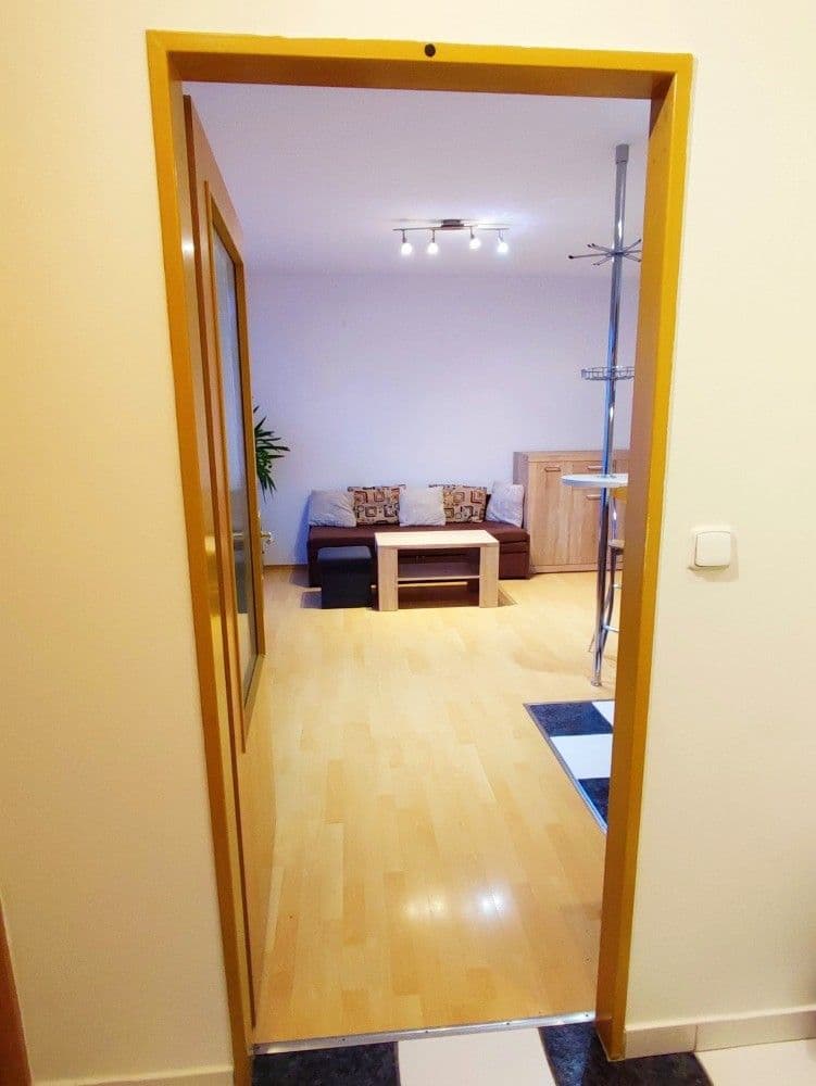 1 bedroom with open-plan kitchen flat to rent, 42 m², Štichova, Prague, Prague 1 bedroom with open-plan kitchen flat to rent, 42 m², Štichova, Prague, Prague