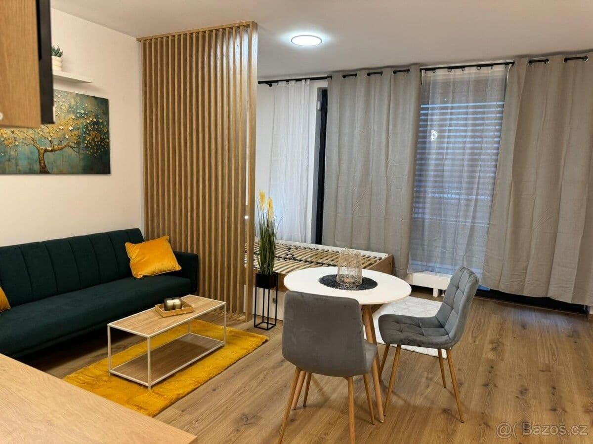 Studio flat to rent, 42 m², Olgy Havlové, Prague, Prague Studio flat to rent, 42 m², Olgy Havlové, Prague, Prague