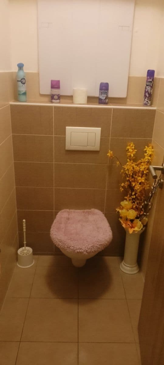 1 bedroom with open-plan kitchen flat to rent, 66 m², Cibulkova, Klatovy, Plzeňský Region 1 bedroom with open-plan kitchen flat to rent, 66 m², Cibulkova, Klatovy, Plzeňský Region