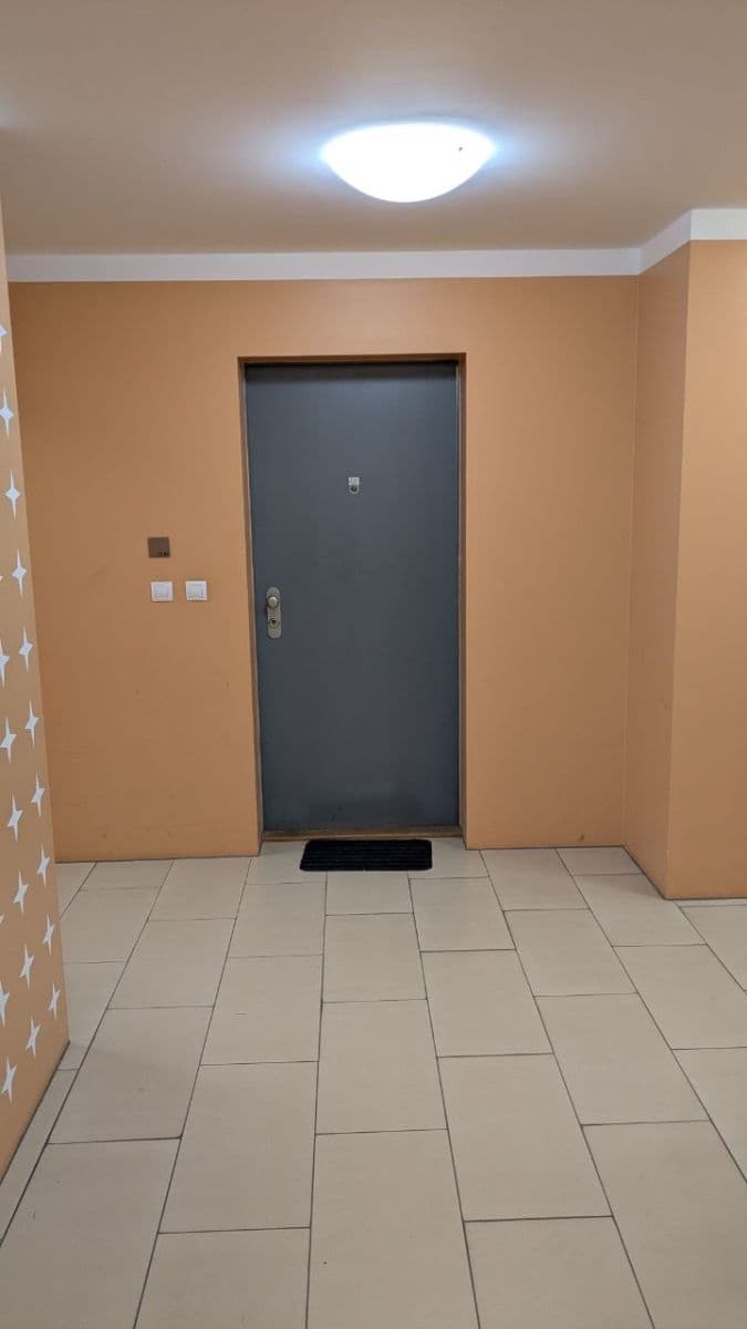 1 bedroom with open-plan kitchen flat to rent, 69 m², Korunní, Prague, Prague 1 bedroom with open-plan kitchen flat to rent, 69 m², Korunní, Prague, Prague