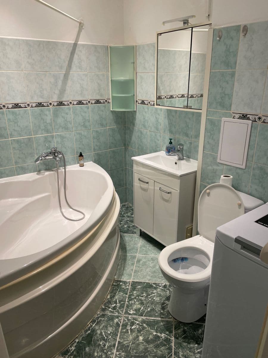 1 bedroom with open-plan kitchen flat to rent, 55 m², Šrobárova, Prague, Prague 1 bedroom with open-plan kitchen flat to rent, 55 m², Šrobárova, Prague, Prague