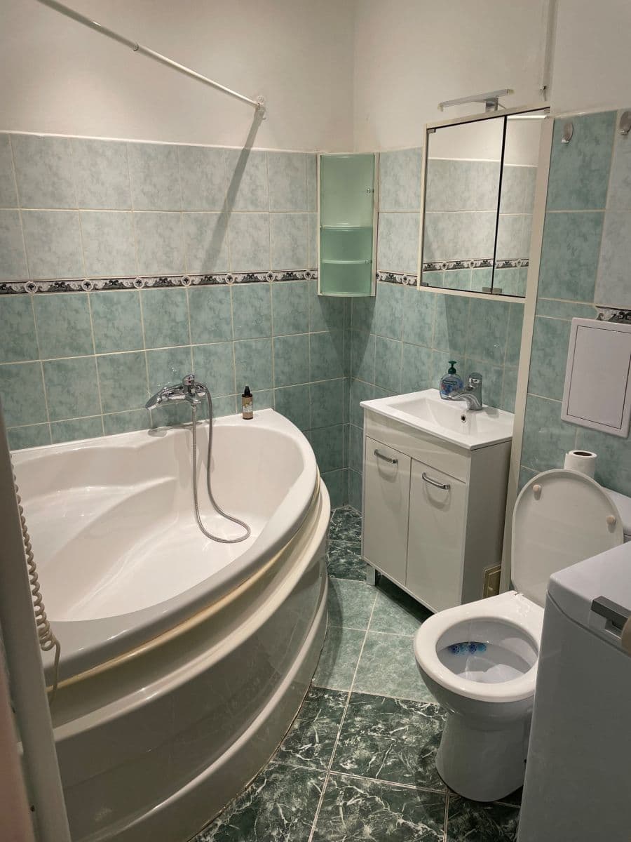 1 bedroom with open-plan kitchen flat to rent, 55 m², Šrobárova, Prague, Prague 1 bedroom with open-plan kitchen flat to rent, 55 m², Šrobárova, Prague, Prague