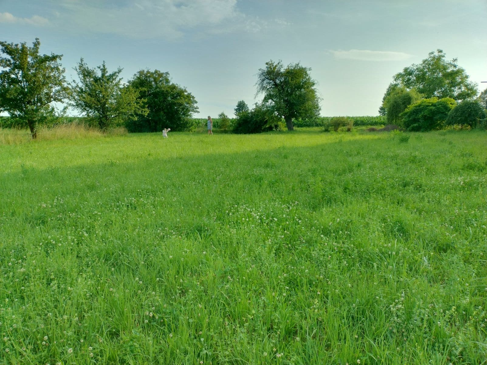 plot for sale, 1,575 m², Střevač, Královéhradecký Region plot for sale, 1,575 m², Střevač, Královéhradecký Region