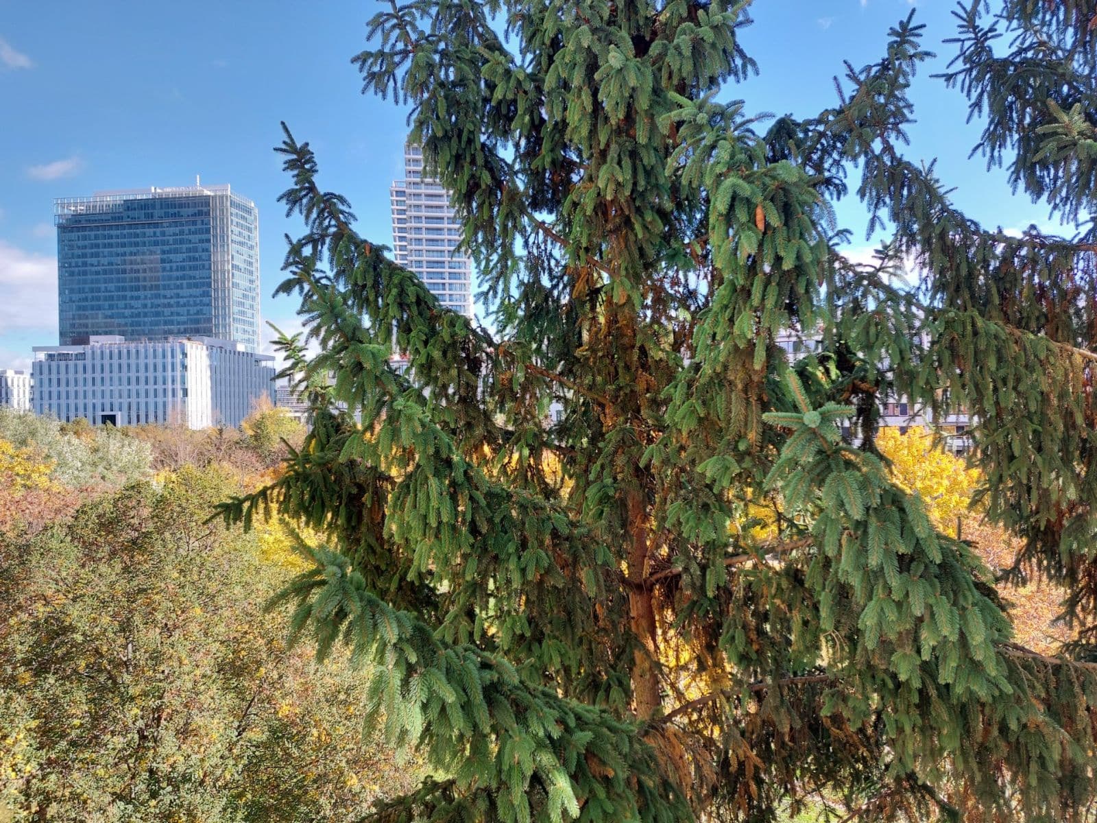 2 bedroom with open-plan kitchen flat to rent, 56 m², Kaplická, Prague, Prague 2 bedroom with open-plan kitchen flat to rent, 56 m², Kaplická, Prague, Prague