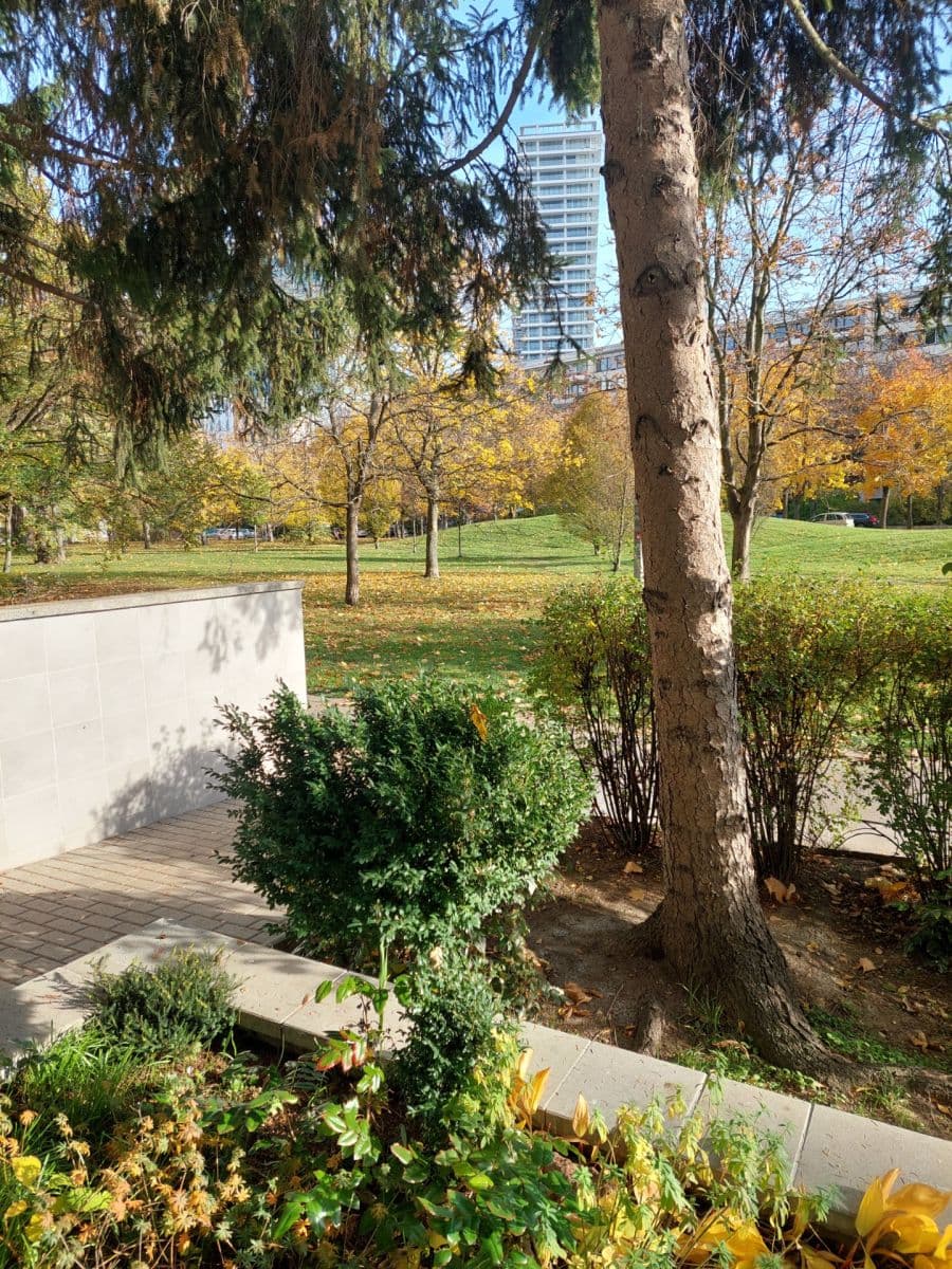 2 bedroom with open-plan kitchen flat to rent, 56 m², Kaplická, Prague, Prague 2 bedroom with open-plan kitchen flat to rent, 56 m², Kaplická, Prague, Prague