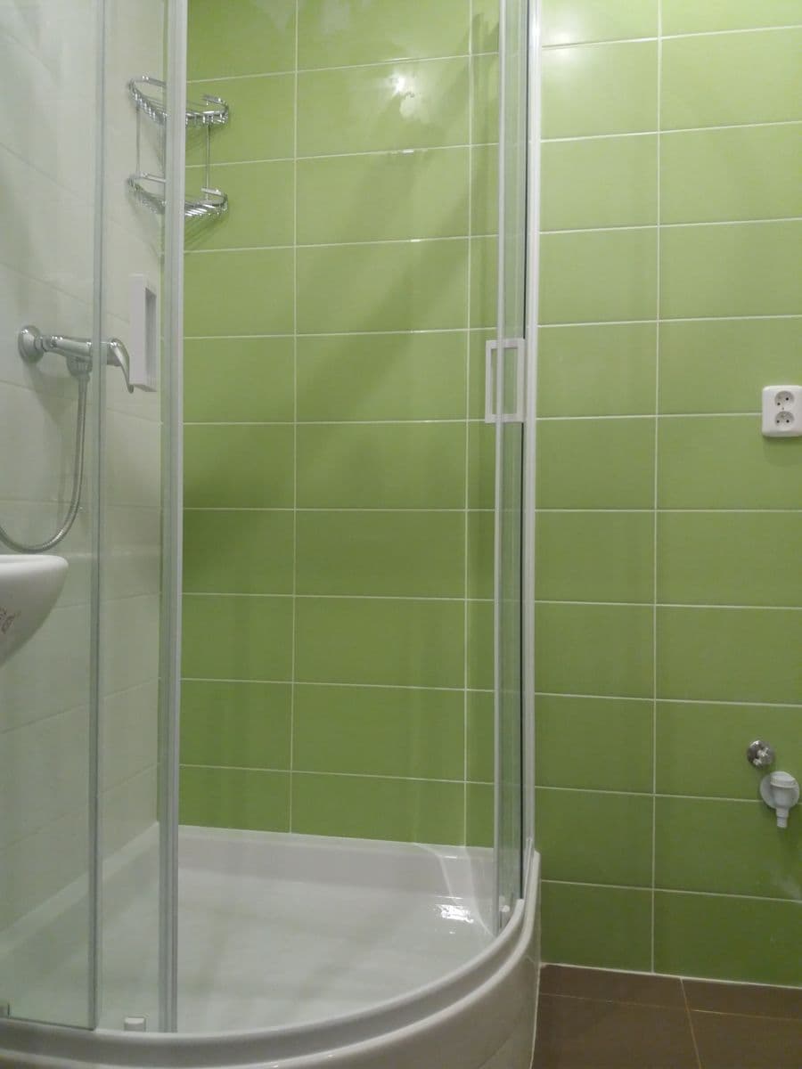 1 bedroom with open-plan kitchen flat to rent, 53 m², Kamerunská, Prague, Prague 1 bedroom with open-plan kitchen flat to rent, 53 m², Kamerunská, Prague, Prague