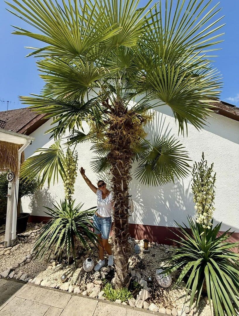 house for sale, 220 m², Schopfheim, Baden-Württemberg house for sale, 220 m², Schopfheim, Baden-Württemberg