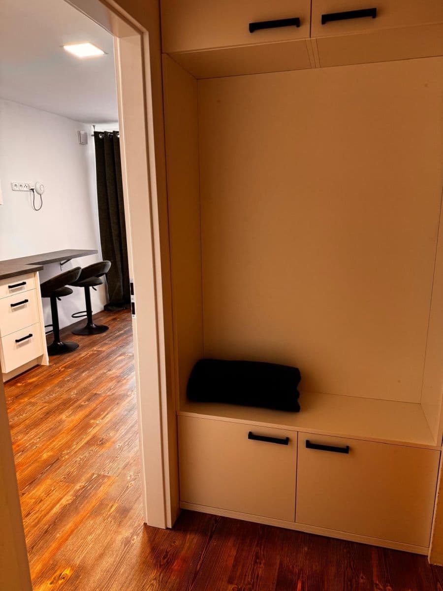 1 bedroom with open-plan kitchen flat to rent, 25 m², V Zahrádkách, Ústí nad Labem, Ústecký Region 1 bedroom with open-plan kitchen flat to rent, 25 m², V Zahrádkách, Ústí nad Labem, Ústecký Region