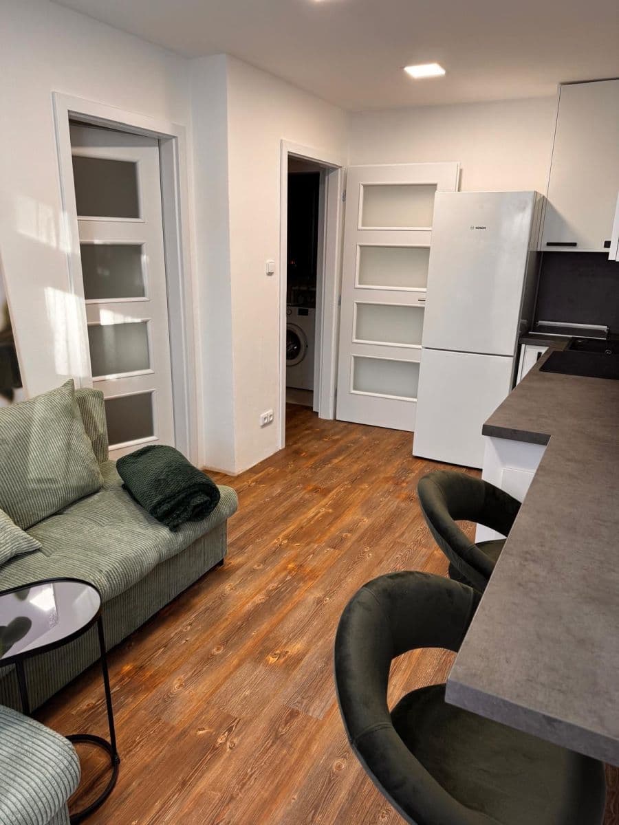 1 bedroom with open-plan kitchen flat to rent, 25 m², V Zahrádkách, Ústí nad Labem, Ústecký Region 1 bedroom with open-plan kitchen flat to rent, 25 m², V Zahrádkách, Ústí nad Labem, Ústecký Region