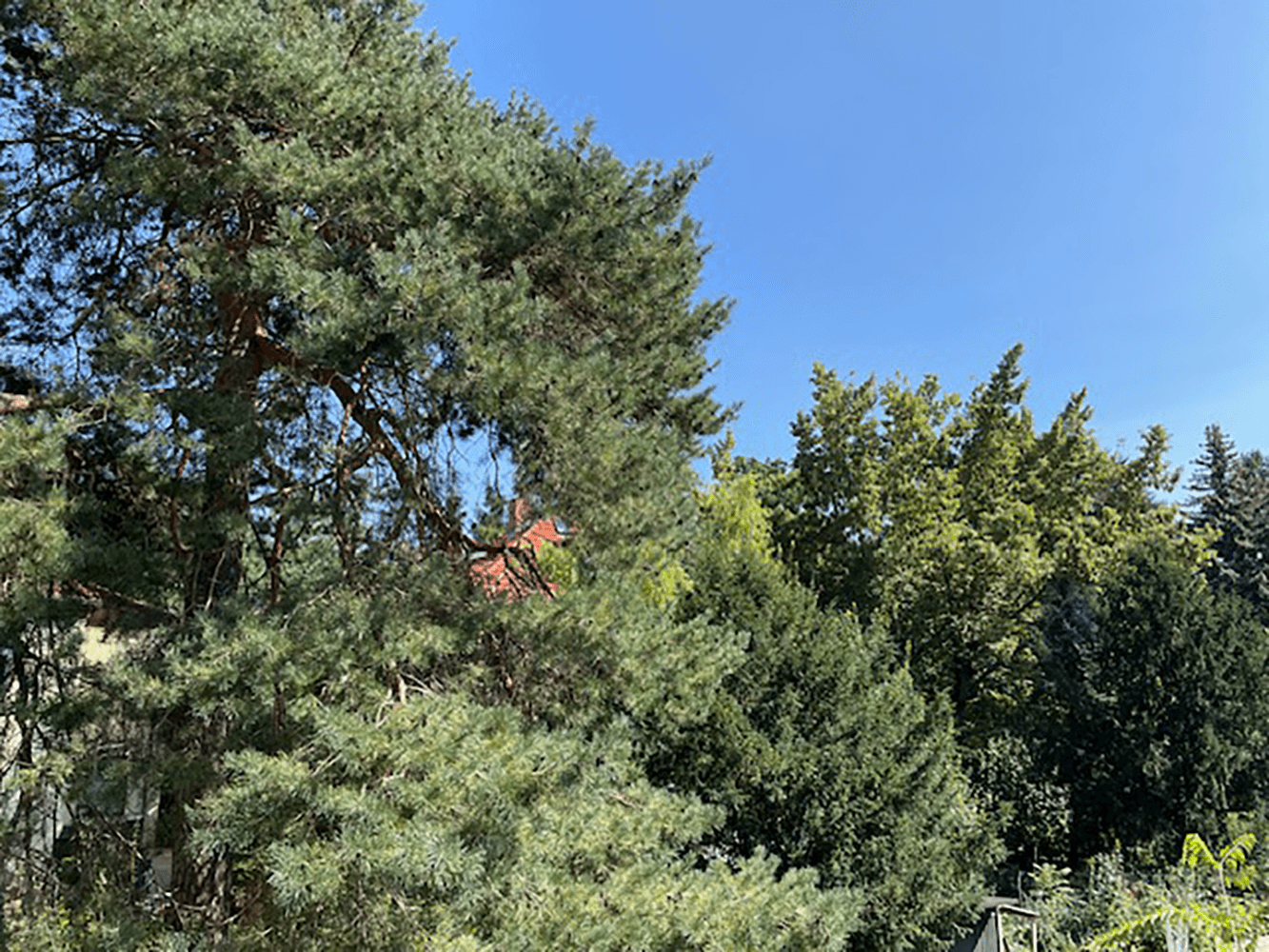 house for sale, 90 m², Berlin, Berlin house for sale, 90 m², Berlin, Berlin