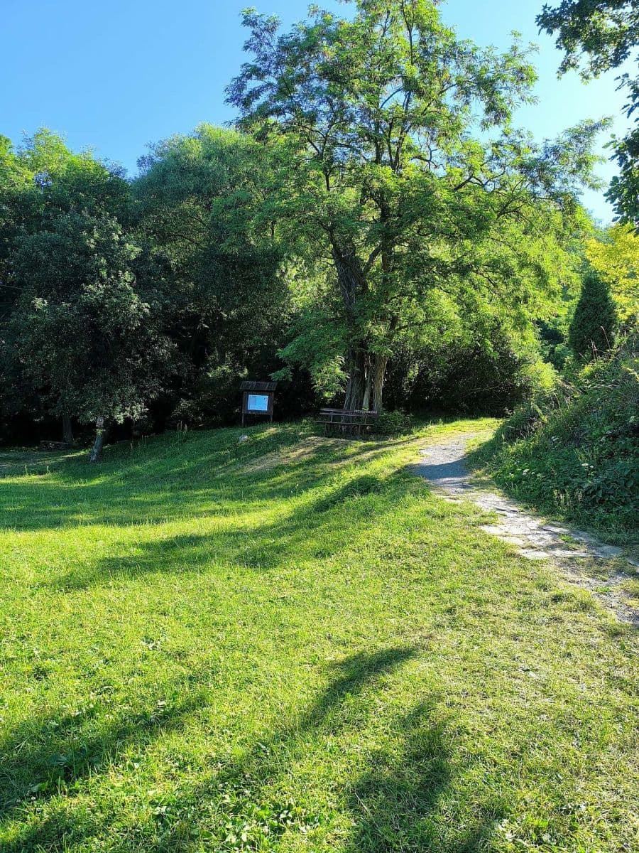 recreational property to rent, 0 m², Branov, Středočeský Region recreational property to rent, 0 m², Branov, Středočeský Region