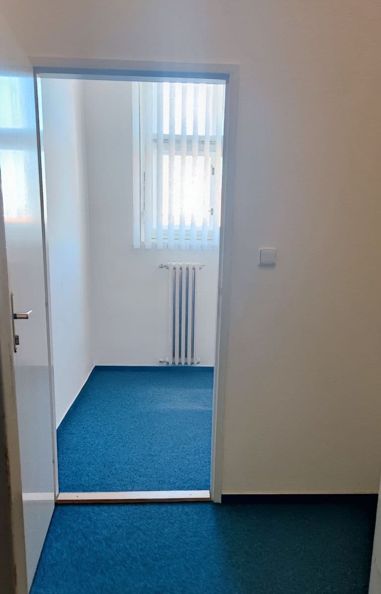 office to rent, 129 m², Opletalova, Prague, Prague office to rent, 129 m², Opletalova, Prague, Prague