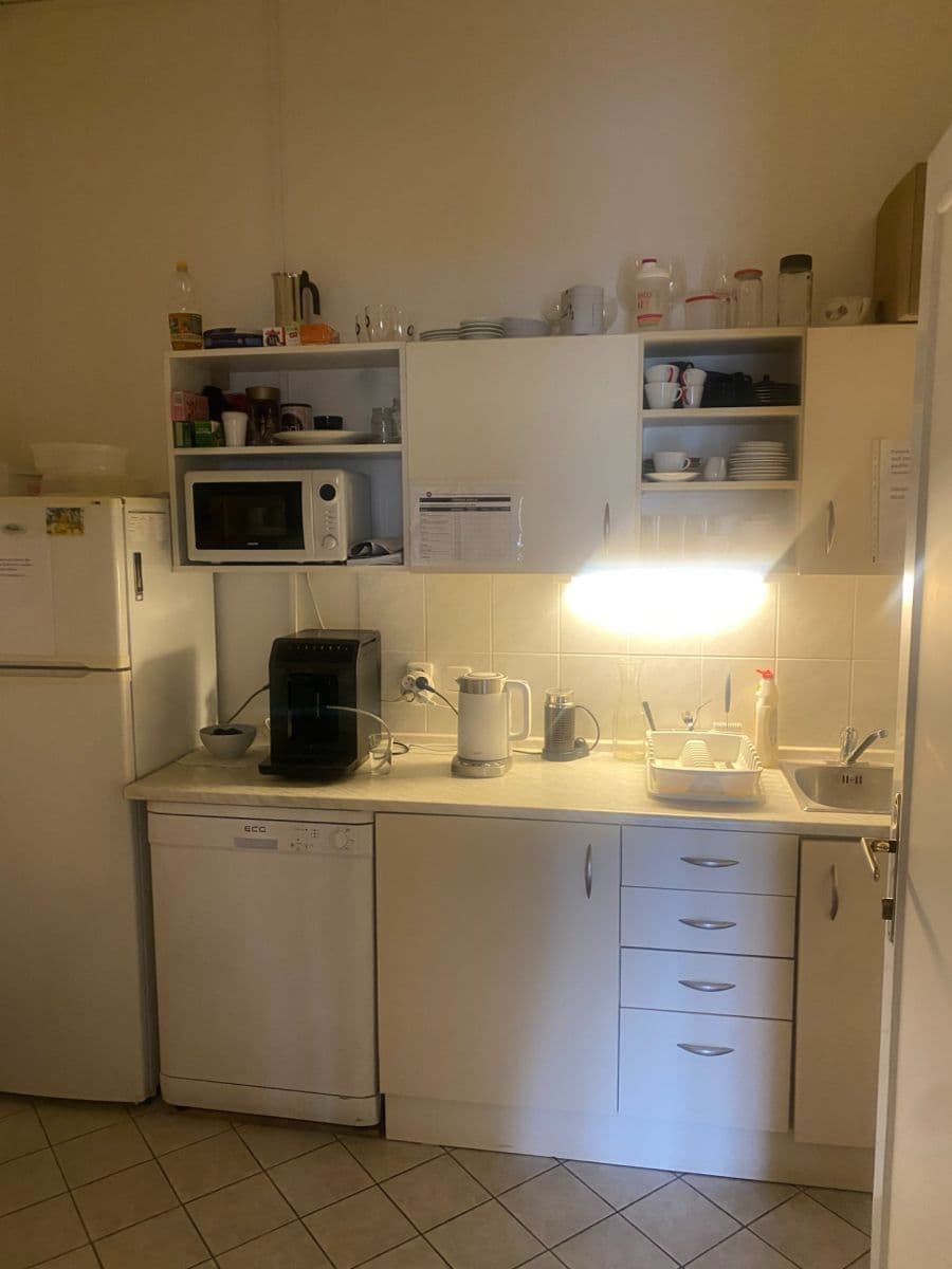 office to rent, 79 m², Opletalova, Prague, Prague office to rent, 79 m², Opletalova, Prague, Prague