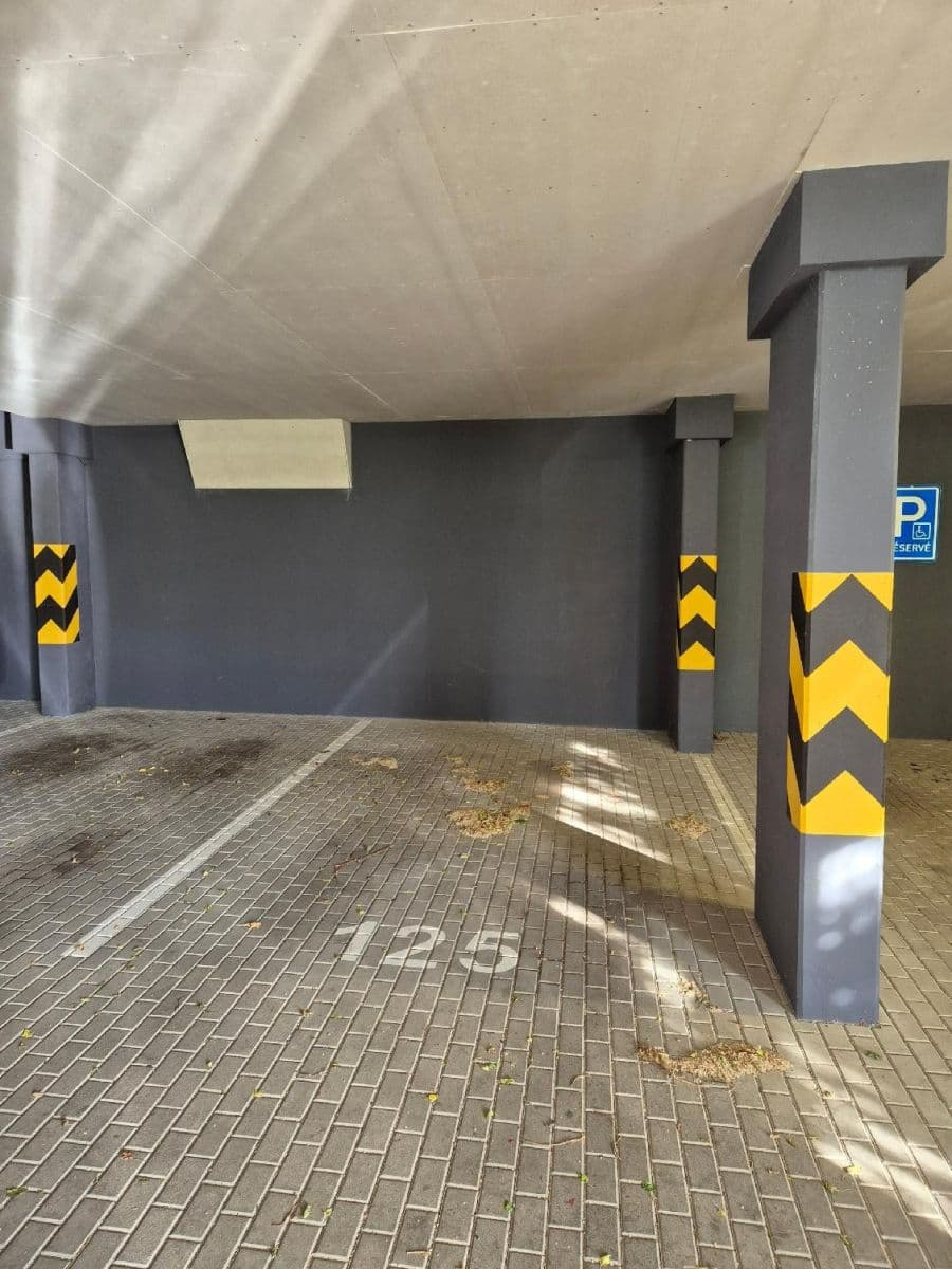 1 bedroom with open-plan kitchen flat to rent, 55 m², Honzíkova, Prague, Prague 1 bedroom with open-plan kitchen flat to rent, 55 m², Honzíkova, Prague, Prague