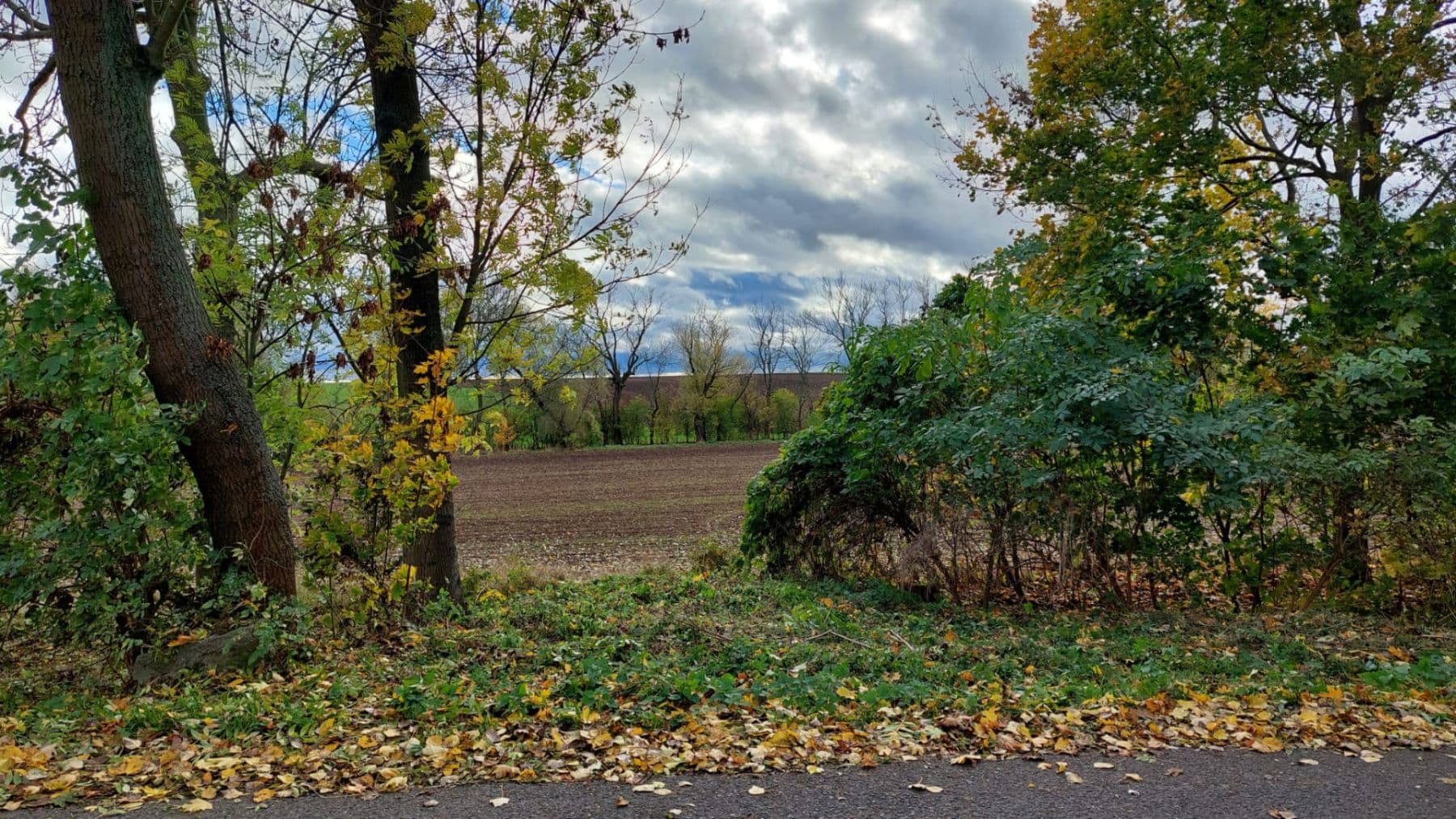 plot for sale, 1,090 m², Černuc, Středočeský Region plot for sale, 1,090 m², Černuc, Středočeský Region