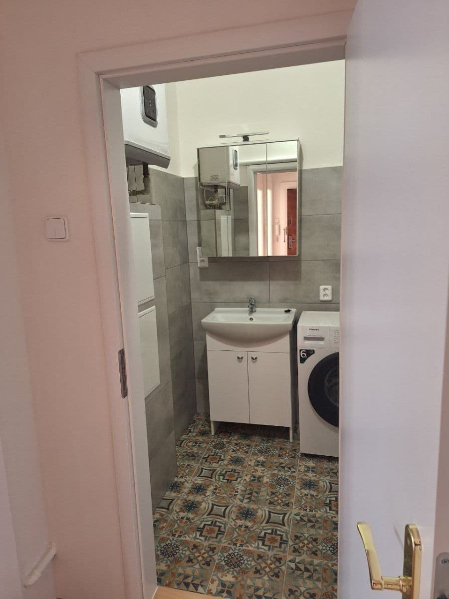 1 bedroom with open-plan kitchen flat to rent, 50 m², Černokostelecká, Prague, Prague 1 bedroom with open-plan kitchen flat to rent, 50 m², Černokostelecká, Prague, Prague