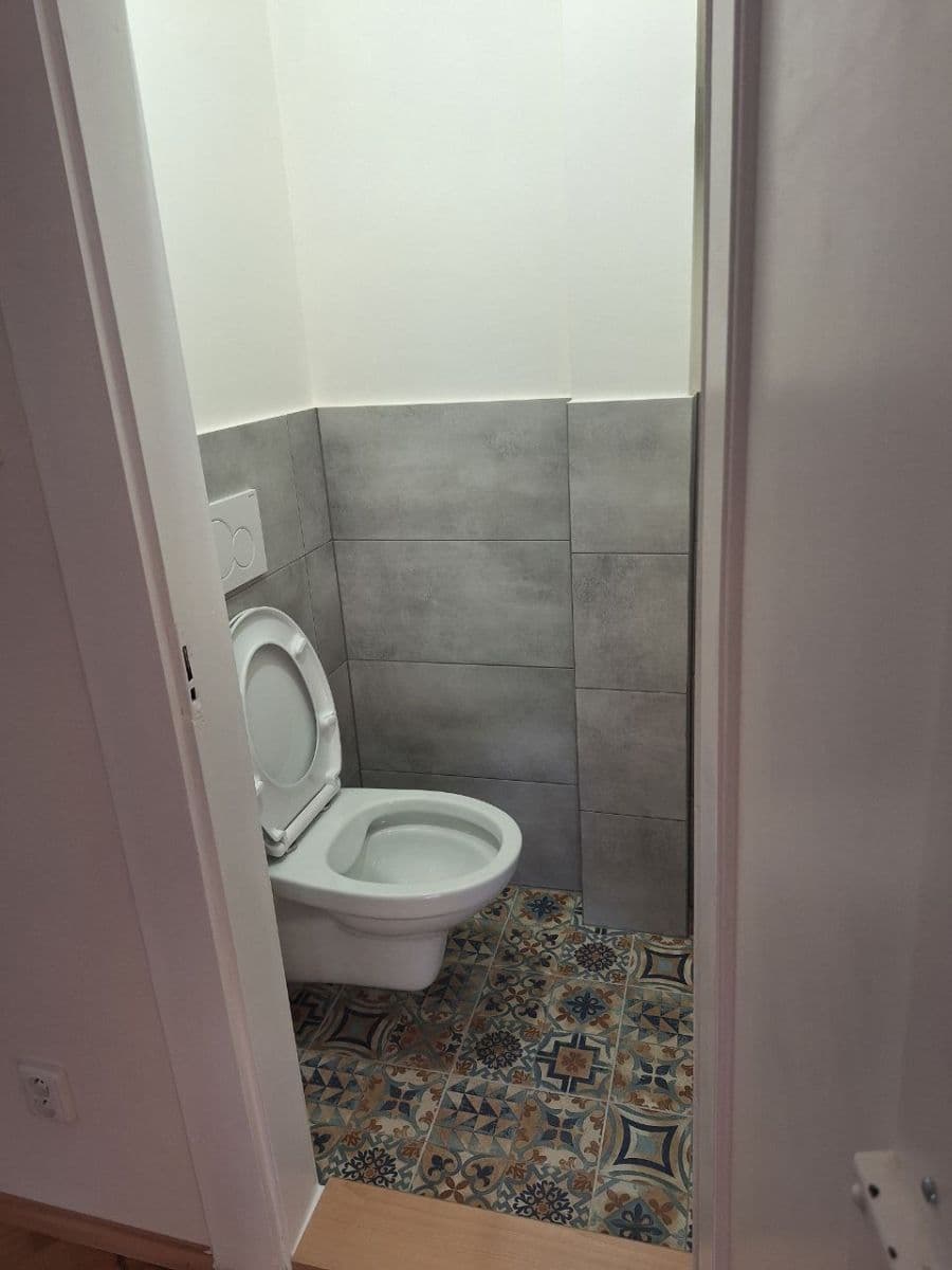 1 bedroom with open-plan kitchen flat to rent, 50 m², Černokostelecká, Prague, Prague 1 bedroom with open-plan kitchen flat to rent, 50 m², Černokostelecká, Prague, Prague