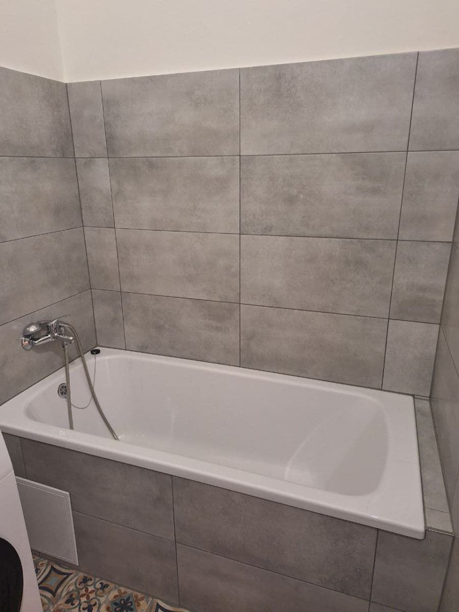 1 bedroom with open-plan kitchen flat to rent, 50 m², Černokostelecká, Prague, Prague 1 bedroom with open-plan kitchen flat to rent, 50 m², Černokostelecká, Prague, Prague