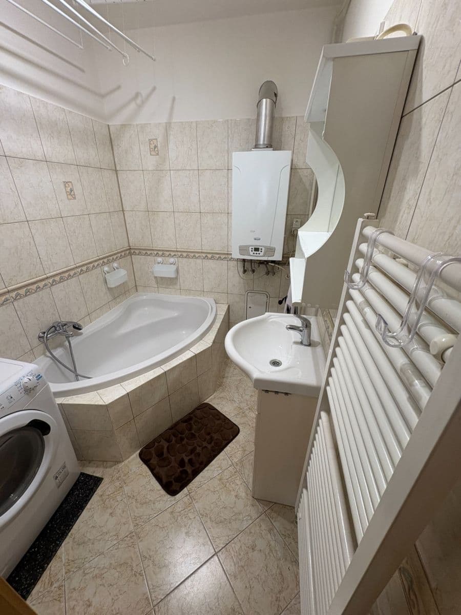 1 bedroom with open-plan kitchen flat to rent, 42 m², Nuselská, Prague, Prague 1 bedroom with open-plan kitchen flat to rent, 42 m², Nuselská, Prague, Prague