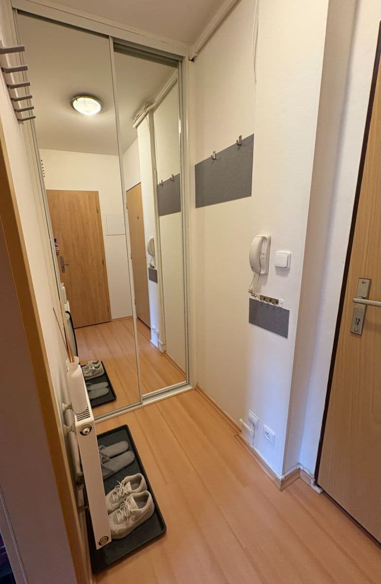 1 bedroom with open-plan kitchen flat to rent, 42 m², Nuselská, Prague, Prague 1 bedroom with open-plan kitchen flat to rent, 42 m², Nuselská, Prague, Prague