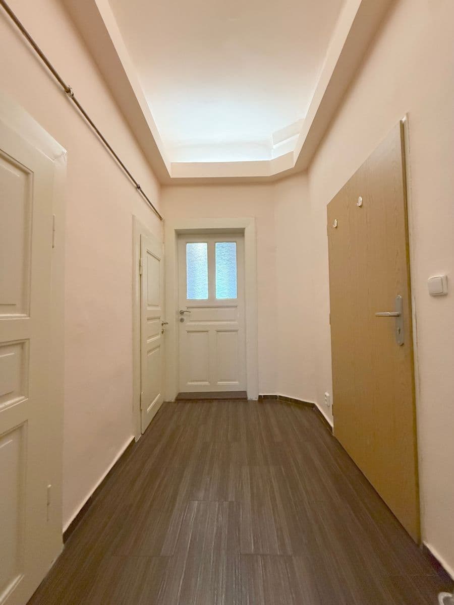 1 bedroom with open-plan kitchen flat to rent, 46 m², Magistrů, Prague, Prague 1 bedroom with open-plan kitchen flat to rent, 46 m², Magistrů, Prague, Prague