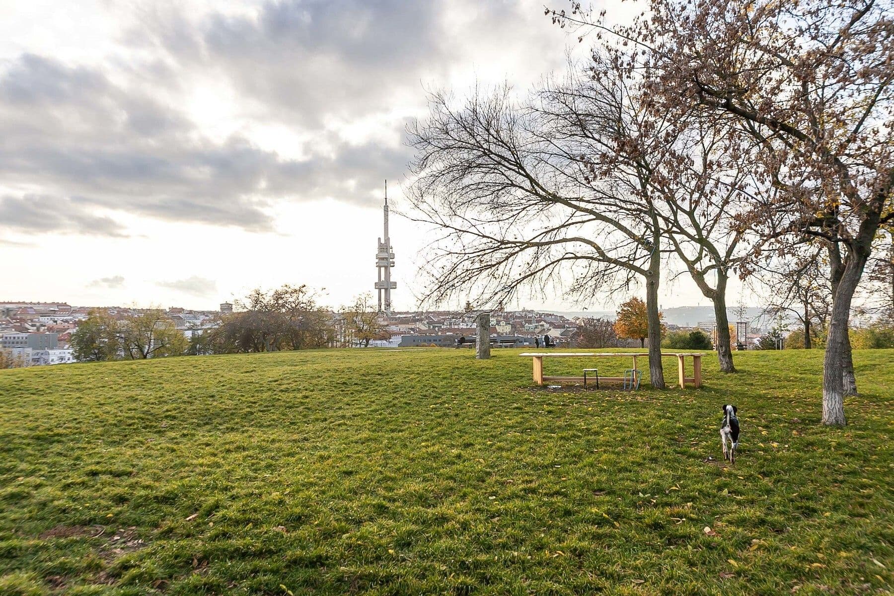 1 bedroom with open-plan kitchen flat for sale, 56 m², Jana Želivského, Prague, Prague 1 bedroom with open-plan kitchen flat for sale, 56 m², Jana Želivského, Prague, Prague