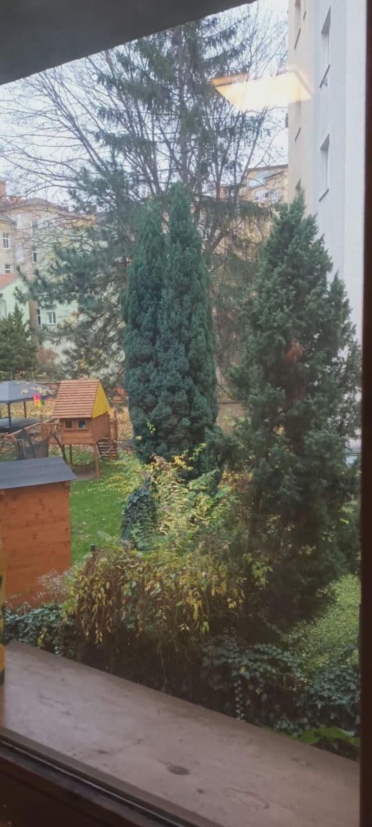 Studio flat to rent, 20 m², Lidická, Brno, Jihomoravský Region Studio flat to rent, 20 m², Lidická, Brno, Jihomoravský Region