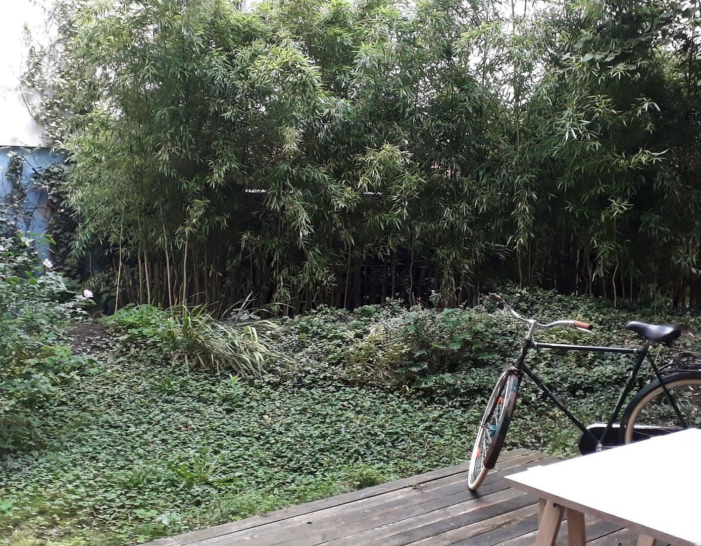 2 bedroom flat to rent, 55 m², Ebelingstr.4, berlin, Berlin 2 bedroom flat to rent, 55 m², Ebelingstr.4, berlin, Berlin