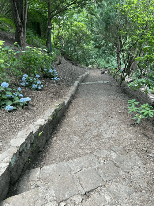 flat to rent, 260 m², Hausackerweg 6, Heidelberg, Allemagne, Baden-Württemberg flat to rent, 260 m², Hausackerweg 6, Heidelberg, Allemagne, Baden-Württemberg