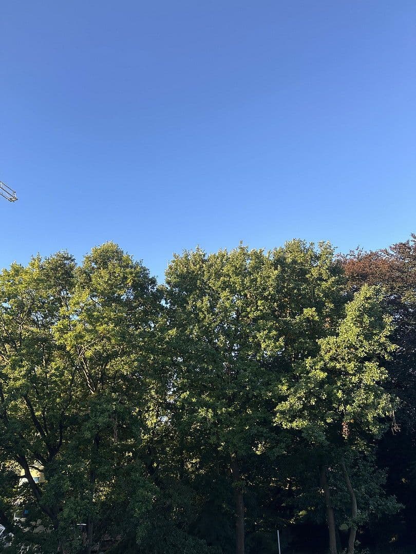 3 bedroom flat to rent, 81 m², Hamburg, Hamburg 3 bedroom flat to rent, 81 m², Hamburg, Hamburg