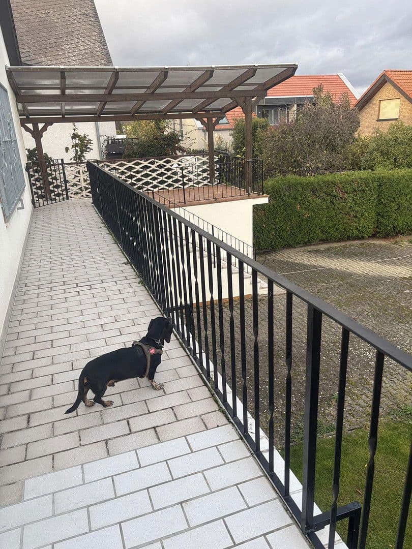 house to rent, 205 m², Worms, Rhineland-Palatinate house to rent, 205 m², Worms, Rhineland-Palatinate