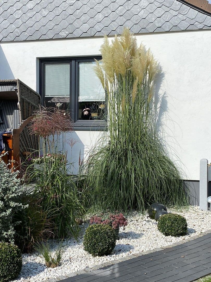 house for sale, 150 m², Mölln, Schleswig-Holstein house for sale, 150 m², Mölln, Schleswig-Holstein