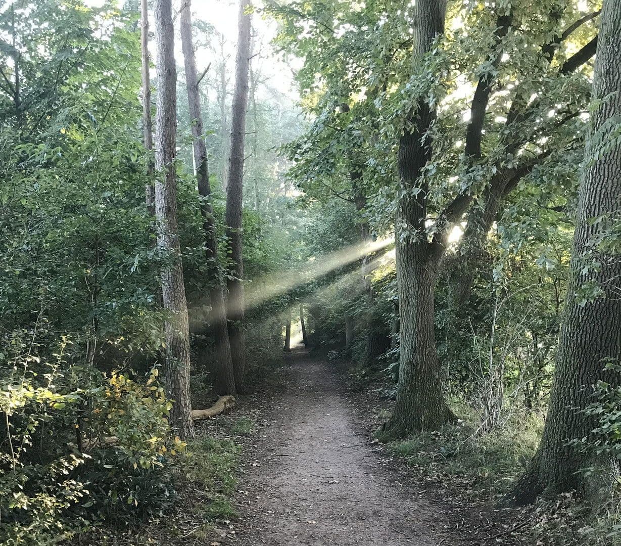 house for sale, 134 m², Hamburg, Hamburg house for sale, 134 m², Hamburg, Hamburg