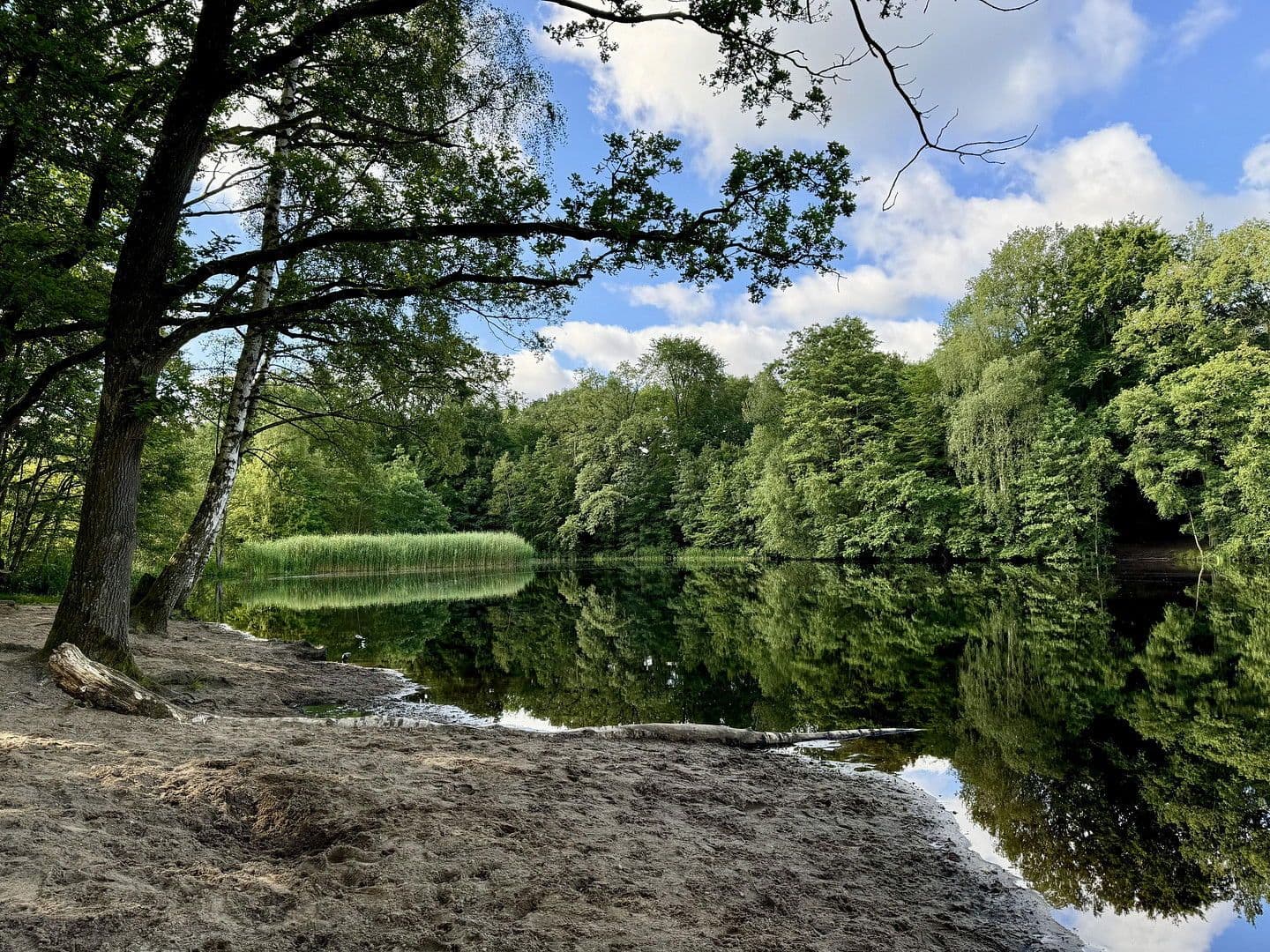 house for sale, 134 m², Hamburg, Hamburg house for sale, 134 m², Hamburg, Hamburg