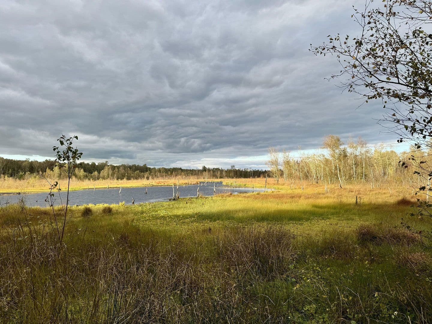 house for sale, 134 m², Hamburg, Hamburg house for sale, 134 m², Hamburg, Hamburg