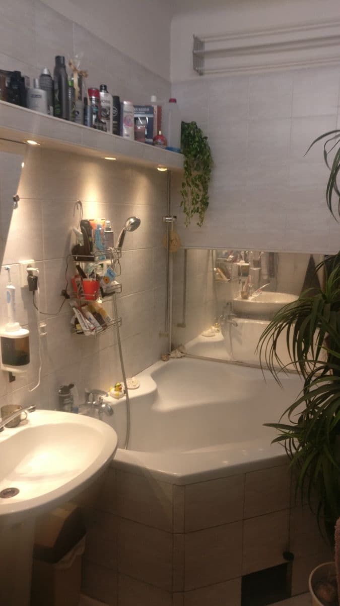 1 bedroom with open-plan kitchen flat to rent, 65 m², Na Pískách, Prague, Prague 1 bedroom with open-plan kitchen flat to rent, 65 m², Na Pískách, Prague, Prague