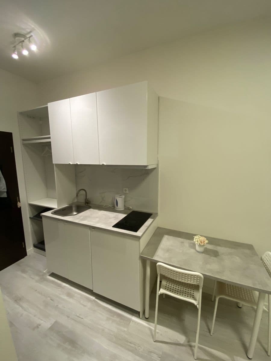 Studio flat to rent, 18 m², Poznaňská, Sázava, Středočeský Region Studio flat to rent, 18 m², Poznaňská, Sázava, Středočeský Region