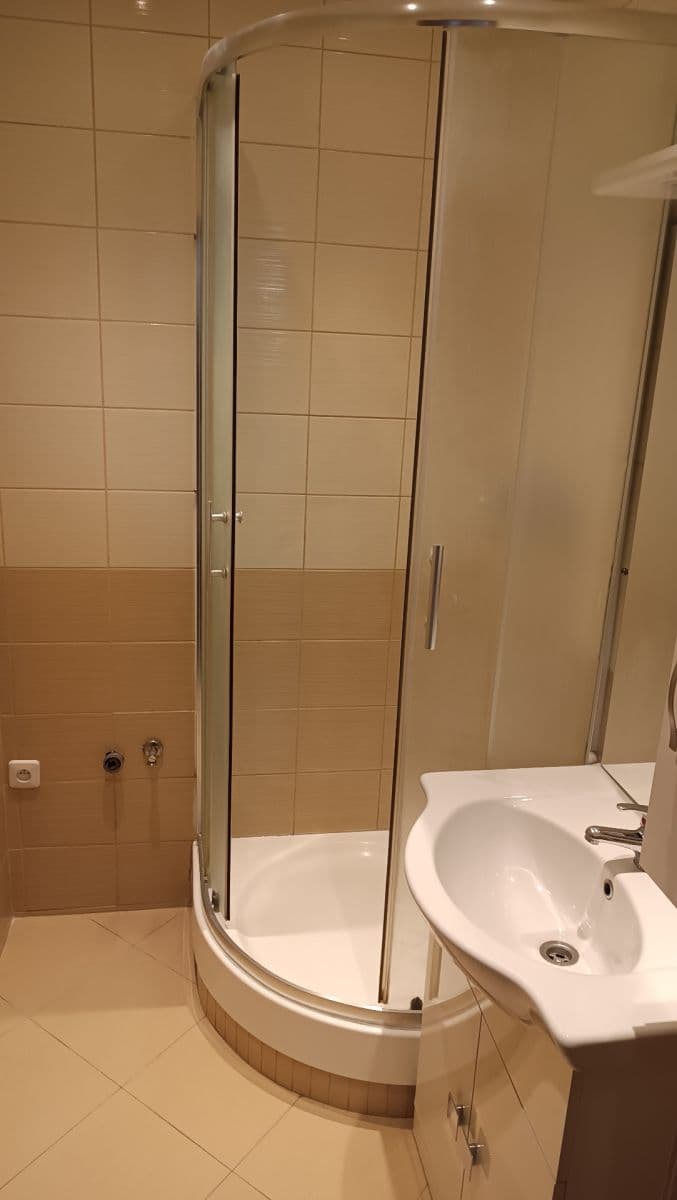 1 bedroom with open-plan kitchen flat to rent, 48 m², Borského, Prague, Prague 1 bedroom with open-plan kitchen flat to rent, 48 m², Borského, Prague, Prague