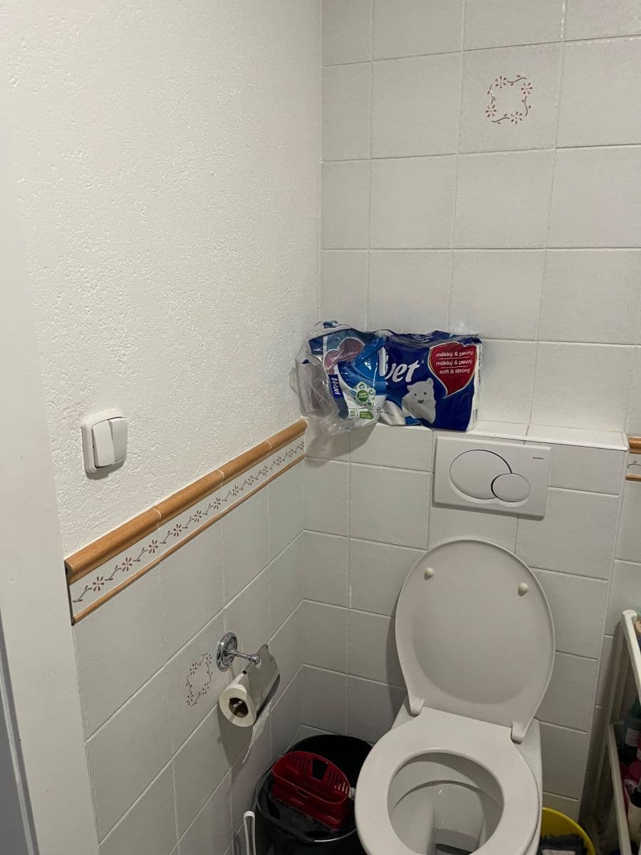 1 bedroom with open-plan kitchen flat to rent, 52 m², Žalanského, Prague, Prague 1 bedroom with open-plan kitchen flat to rent, 52 m², Žalanského, Prague, Prague