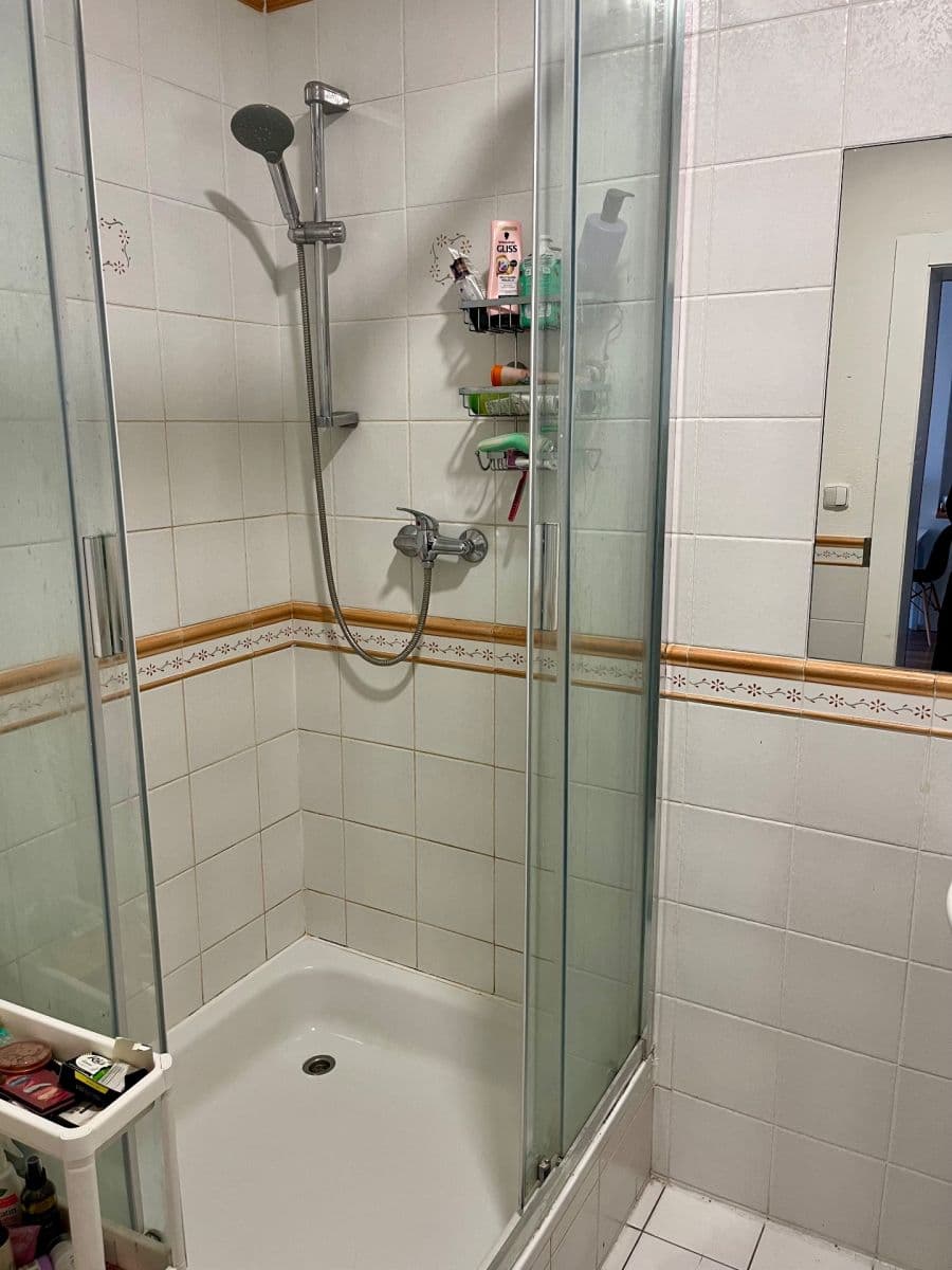 1 bedroom with open-plan kitchen flat to rent, 52 m², Žalanského, Prague, Prague 1 bedroom with open-plan kitchen flat to rent, 52 m², Žalanského, Prague, Prague