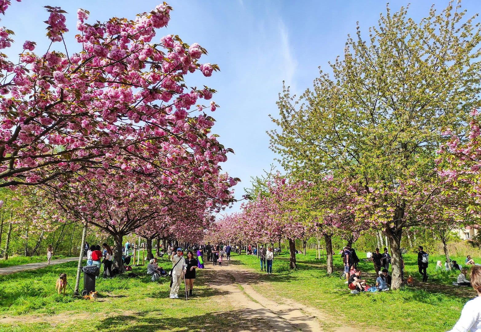 2 bedroom flat for sale, 64 m², Unter den Eichen 55, Berlin, Berlin 2 bedroom flat for sale, 64 m², Unter den Eichen 55, Berlin, Berlin